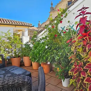 Apartamento Descalzos ángel