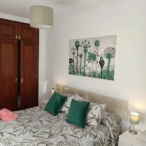 https://apto-ana-malaga-centro.hotelsinnerja.org